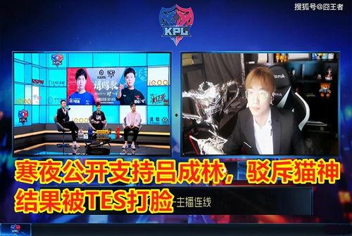 kpl 吃瓜,吃瓜群众揭秘战队幕后故事