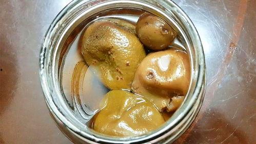 吃瓜饶平,揭秘饶平美食背后的故事与风情