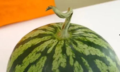 打开吃瓜正确方式,轻松享受夏日清凉