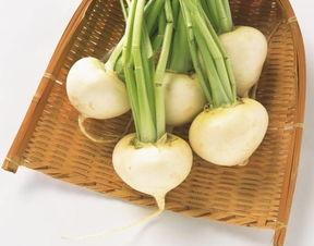 上蔡冬吃萝卜夏吃瓜,冬萝卜夏瓜，养生之道