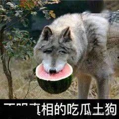 吃瓜群狗头,揭秘网络社交圈的趣味与争议