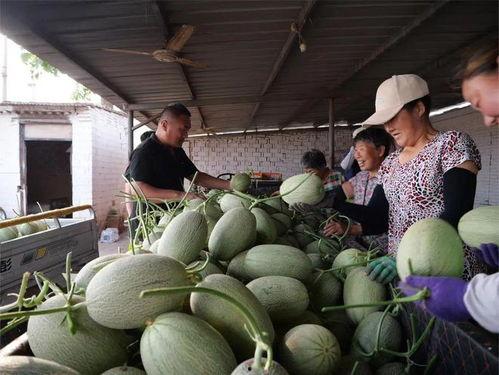 现在都去哪吃瓜,当下热门“吃瓜”圣地大盘点