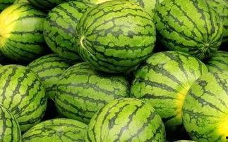 西瓜控在哪吃瓜,揭秘最佳吃瓜地点