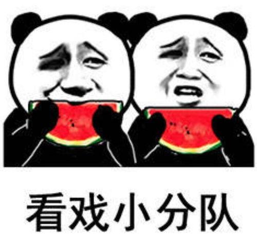 表情包姐妹吃瓜,欢乐无限，表情包里的生活百态