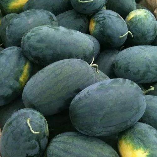 梦见吃红野瓜,探寻红野瓜的神秘寓意