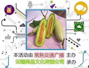 吃瓜七号花儿,揭秘娱乐圈背后的花边新闻