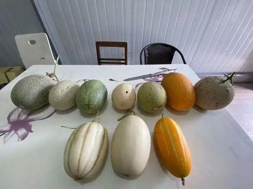 吃瓜嘴里痒,揭秘娱乐圈那些不为人知的秘密