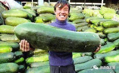 带着人吃瓜,一起“带着人吃瓜”