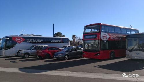 郑州比亚迪工厂吃瓜,揭秘背后的真相与反思