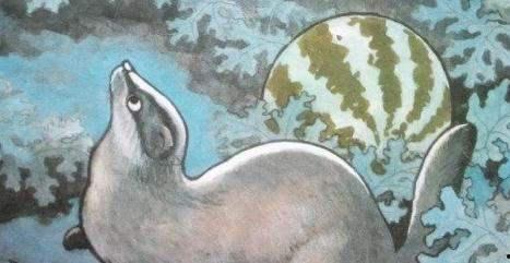 猹是如何吃瓜的,猹的独特吃瓜技巧揭秘