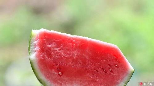 死亡吃瓜群,网络社交的暗黑面