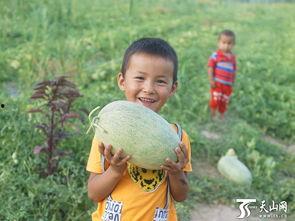 儿童吃瓜群众节,儿童吃瓜群众节欢乐盛况