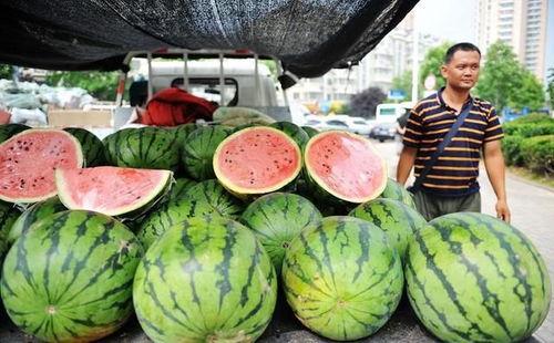 小脑袋游新疆吃瓜,小脑袋带你畅游瓜乡美味之旅