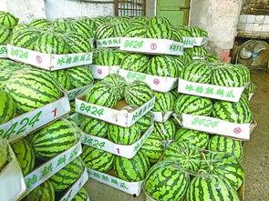 武汉校园吃瓜,揭秘校园里的那些事儿