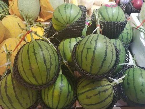 银川一中吃瓜,吃瓜群众揭秘校园热点事件