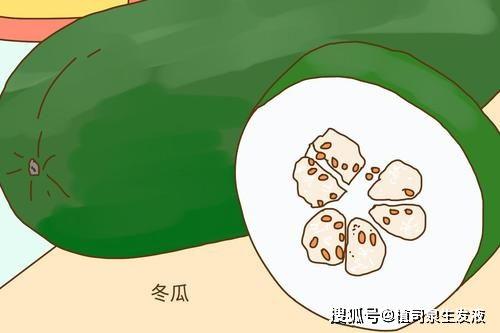 小蓝孩吃瓜,小蓝孩的瓜田奇遇记