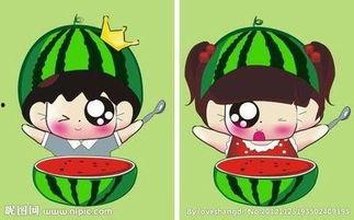 吃瓜男孩情侣,甜蜜瓜田里的爱情故事