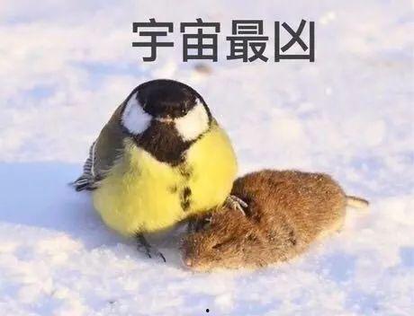 下雨吃瓜的视频